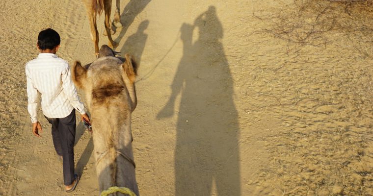 The Desert (Khuri & Jaisalmer)