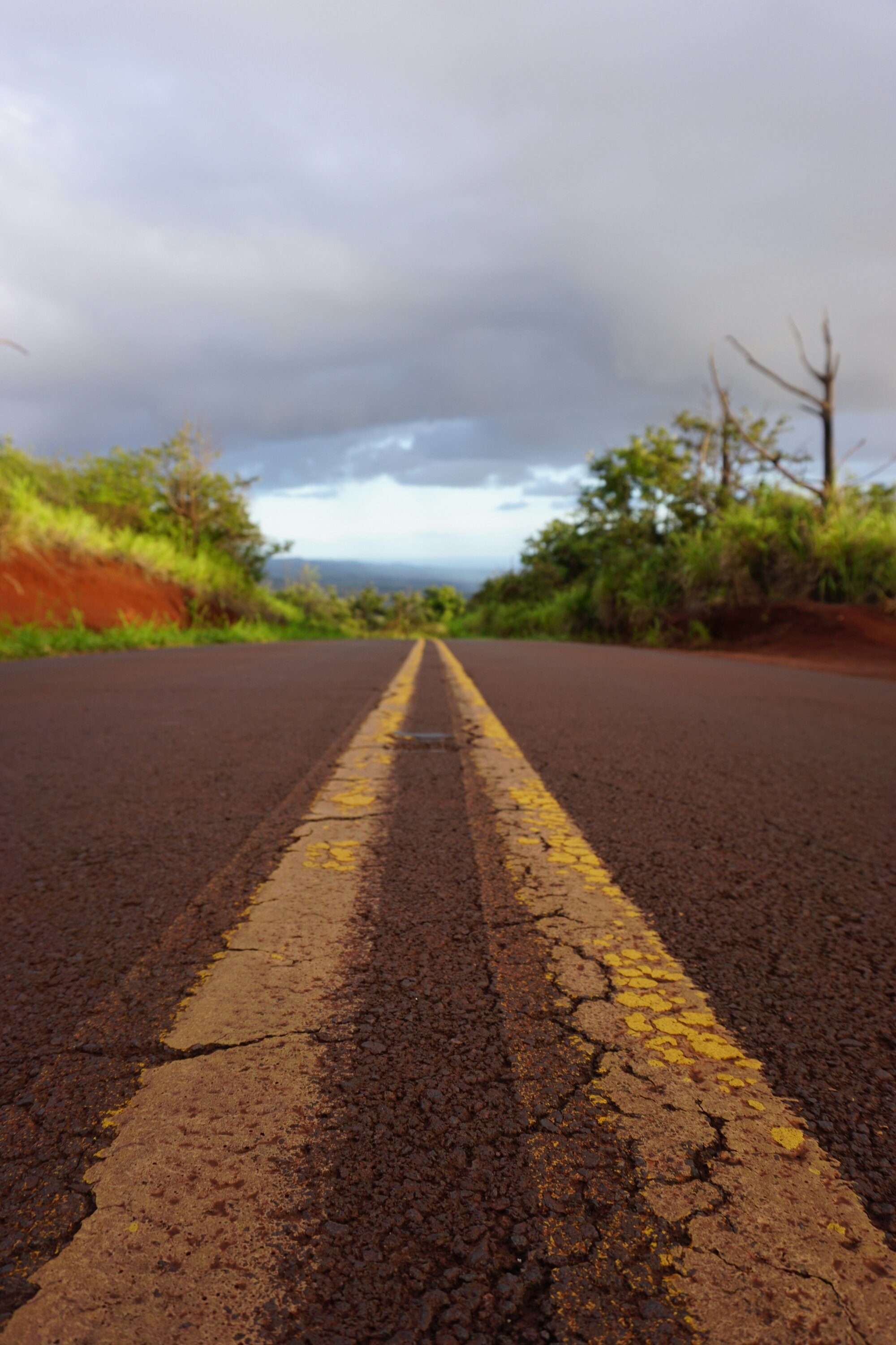 Kauai #gardenisland #landscape