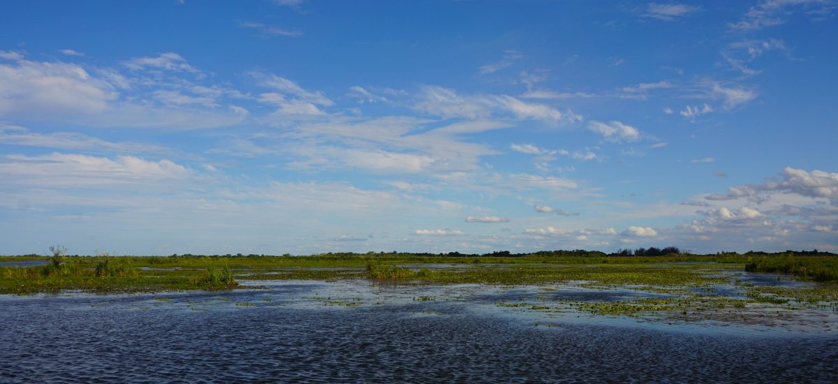 Reserva Ibera – Ein Paradies für Tierfreunde… ;-)