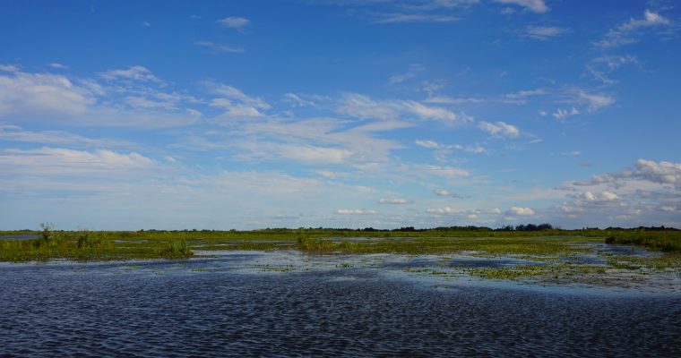 Reserva Ibera – Ein Paradies für Tierfreunde… ;-)